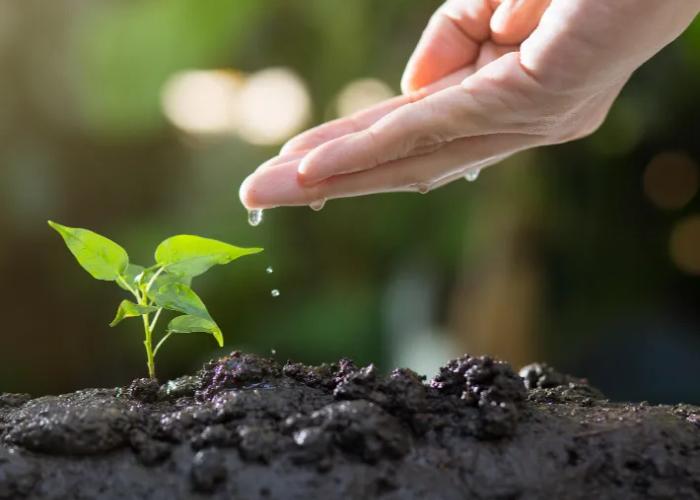 Punta Bermeja Premium Beach Hotel El Puerto de Santa María Punta Bermeja Premium Beach Hotel El Puerto de Santa María