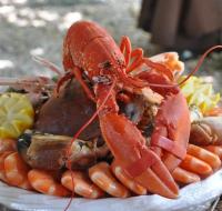 Punta Bermeja Premium Beach Hotel El Puerto de Santa María Punta Bermeja Premium Beach Hotel El Puerto de Santa María