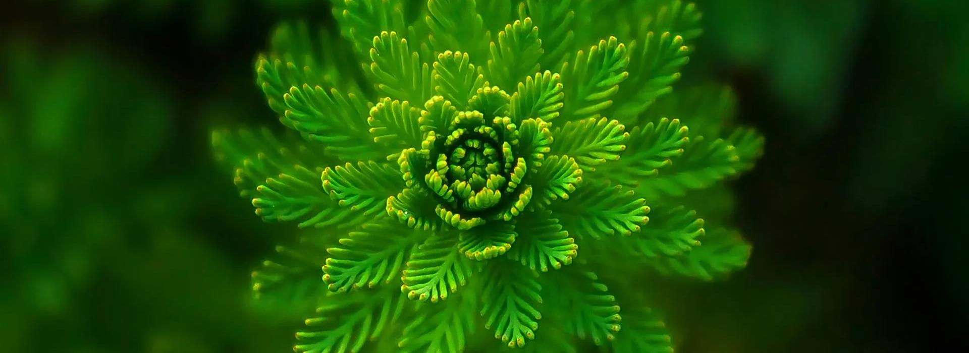 Punta Bermeja Premium Beach Hotel - El Puerto de Santa María - Punta Bermeja Premium Beach Hotel - El Puerto de Santa María -